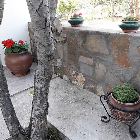 Apartamento Nikiforos House Agios Nikolaos  Exterior foto